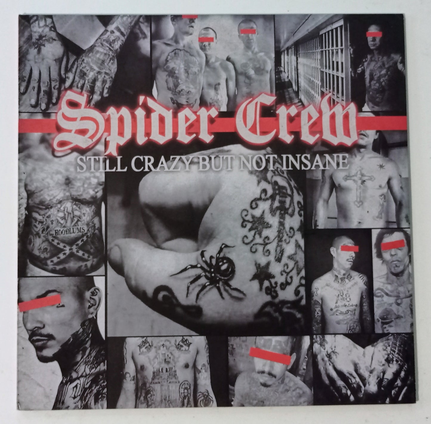 Spider Crew - Still Crazy But Not Insane (LP Importado Polônia - NOVO)