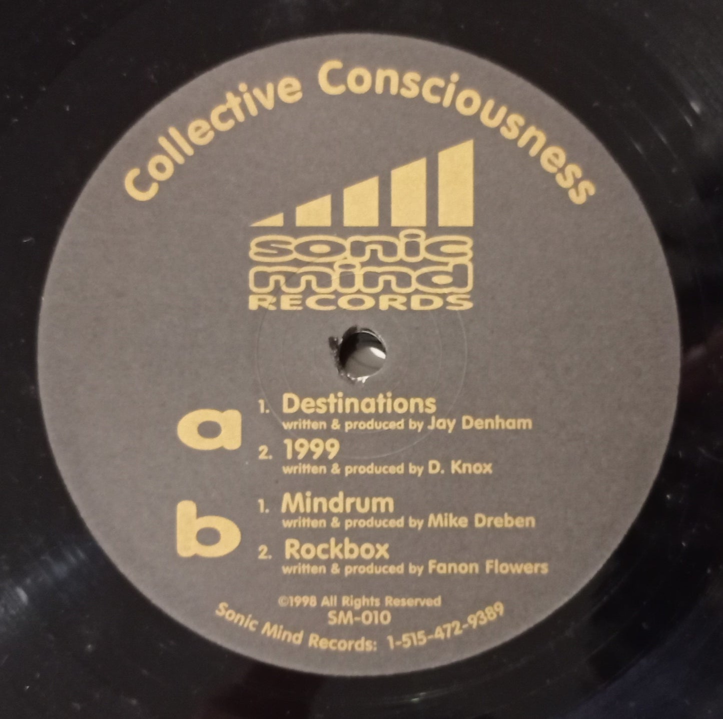 Various - Collective Consciousness (2x Vinyl 12" - Importado USA - USADO)