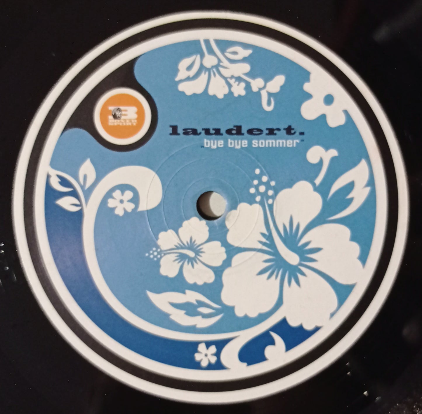 Laudert - Bye Bye Sommer (Vynil 12" - Importado Alemanha - USADO)