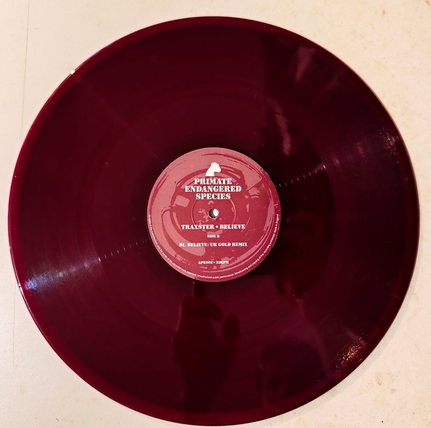 Traxster - Believe (Vynil 12" - Importado Inglaterra - USADO)